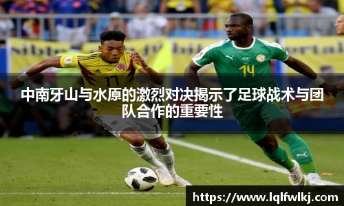 db电竞官网入口